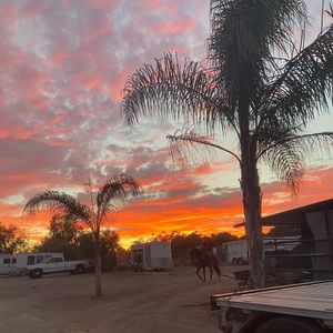 Meet your Posher, Daisy